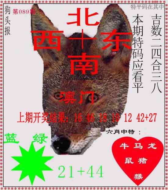 089期狗头报[图]